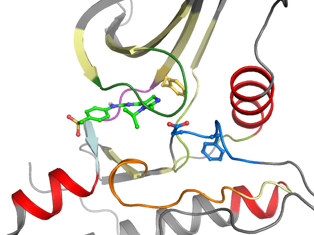 The orthosteric binding pocket