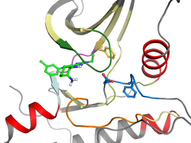 The orthosteric binding pocket