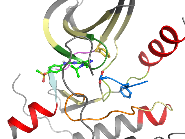 The orthosteric binding pocket