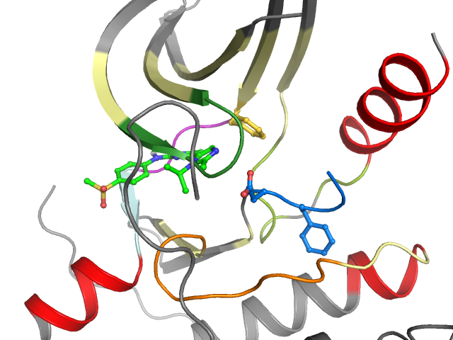 The orthosteric binding pocket