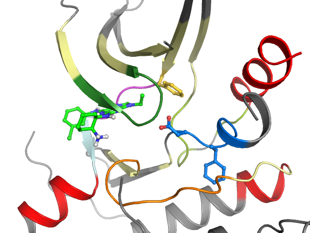 The orthosteric binding pocket
