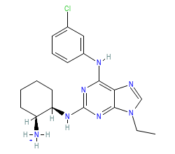 2D structure of the orthosteric ligand
