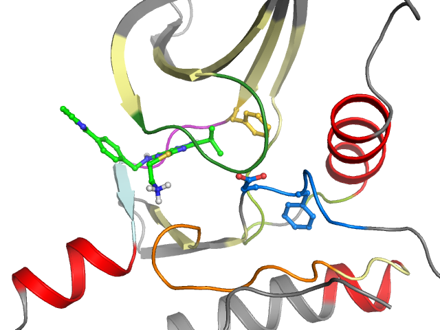 The orthosteric binding pocket
