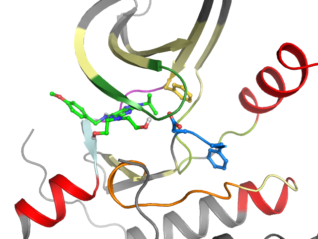 The orthosteric binding pocket