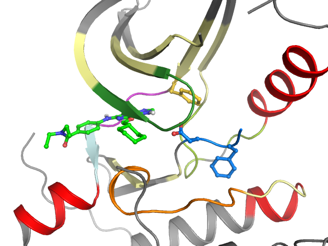 The orthosteric binding pocket