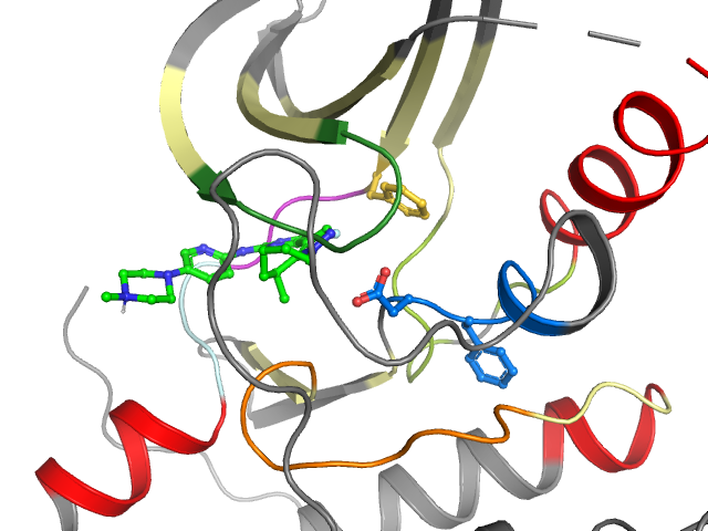 The orthosteric binding pocket