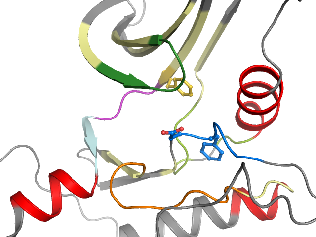 The orthosteric binding pocket