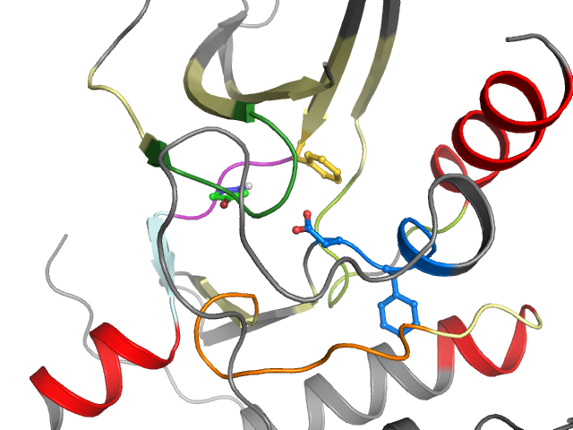 The orthosteric binding pocket