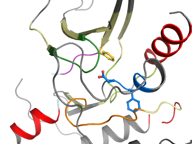 The orthosteric binding pocket
