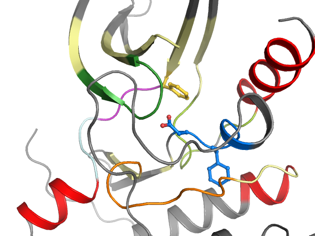 The orthosteric binding pocket