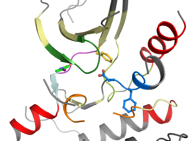 The orthosteric binding pocket
