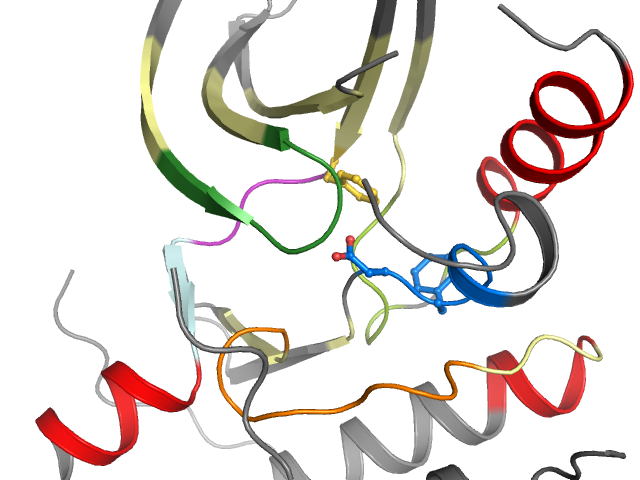 The orthosteric binding pocket