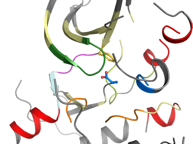 The orthosteric binding pocket