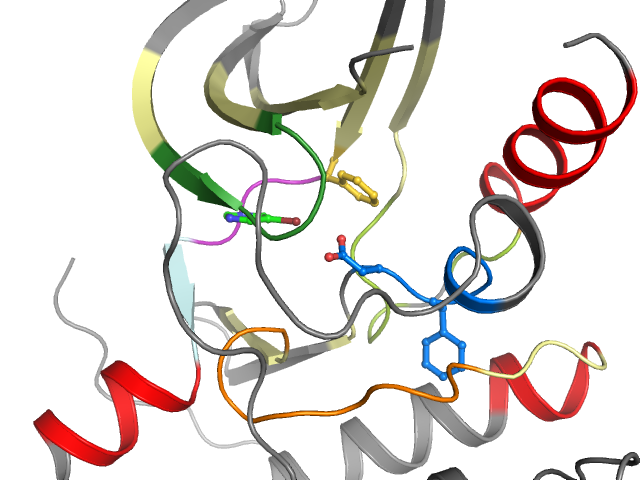 The orthosteric binding pocket