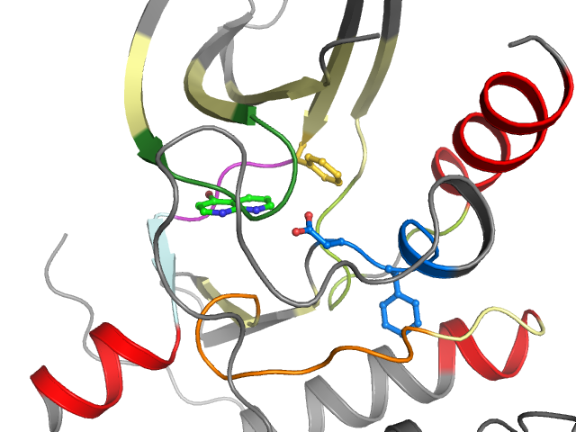 The orthosteric binding pocket