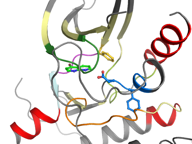 The orthosteric binding pocket