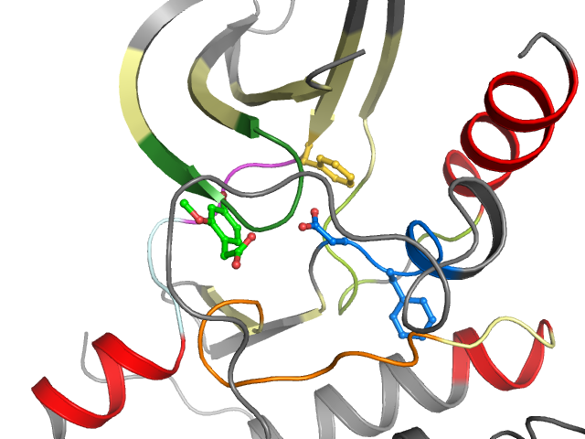 The orthosteric binding pocket