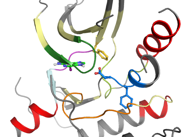 The orthosteric binding pocket