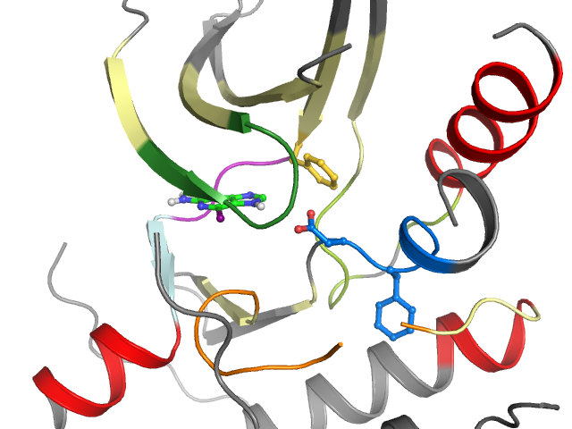 The orthosteric binding pocket