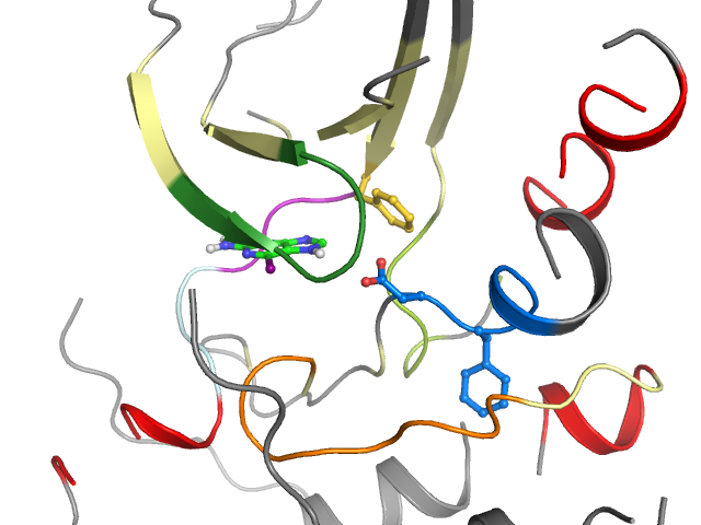 The orthosteric binding pocket