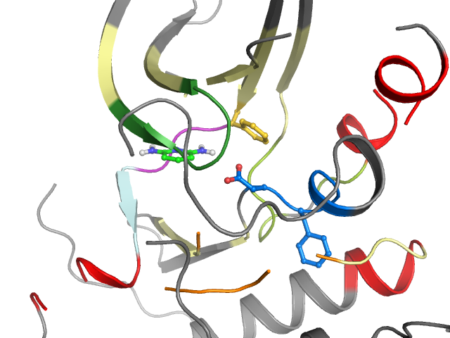 The orthosteric binding pocket