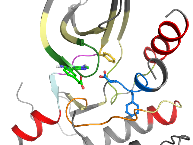 The orthosteric binding pocket