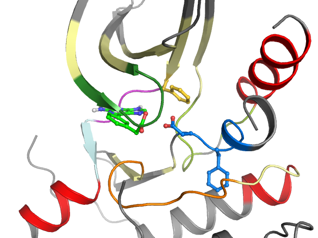 The orthosteric binding pocket