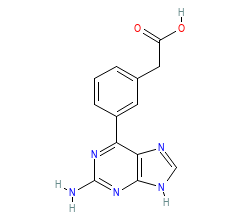 2D structure of the orthosteric ligand