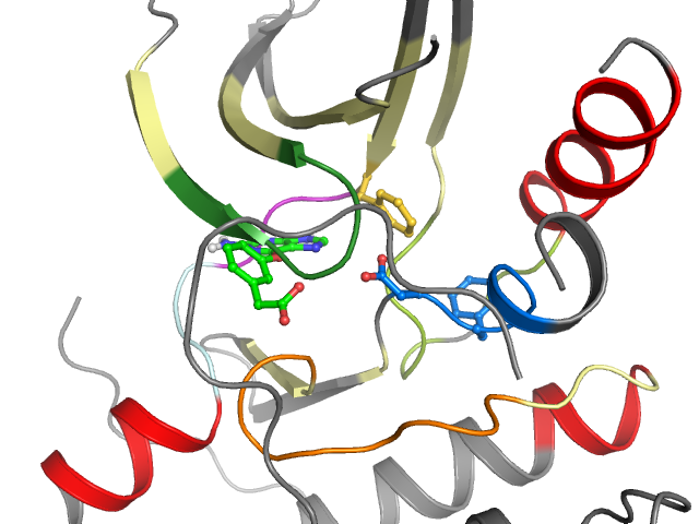 The orthosteric binding pocket