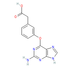 2D structure of the orthosteric ligand