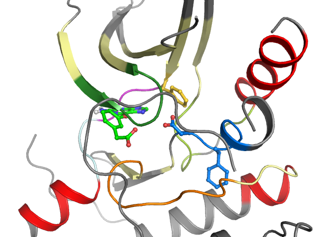 The orthosteric binding pocket