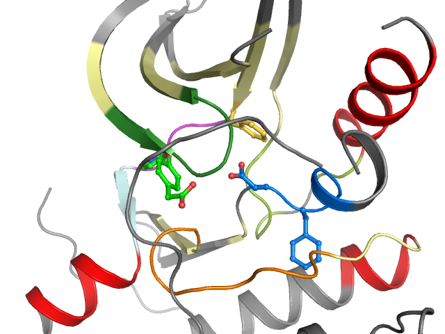 The orthosteric binding pocket