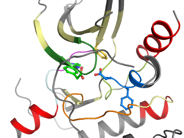 The orthosteric binding pocket
