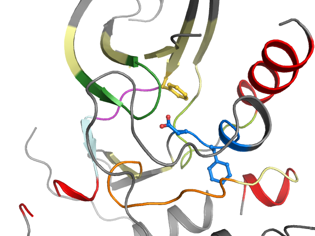 The orthosteric binding pocket