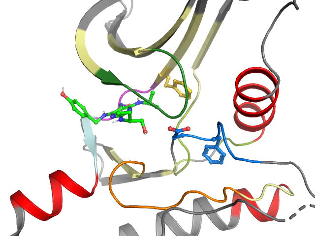 The orthosteric binding pocket