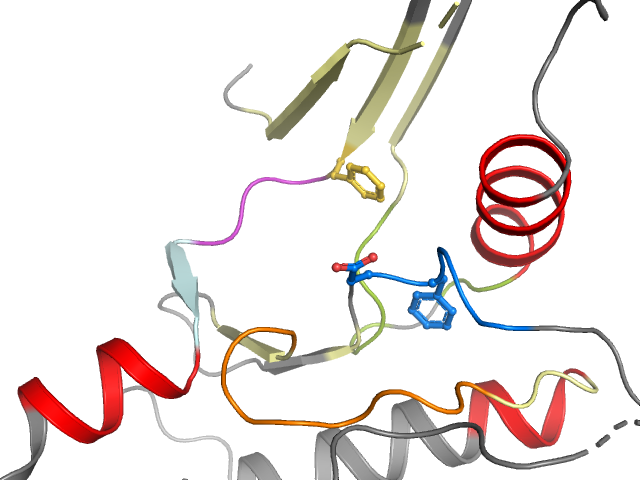 The orthosteric binding pocket