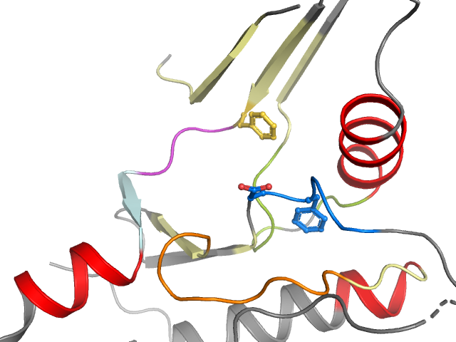 The orthosteric binding pocket