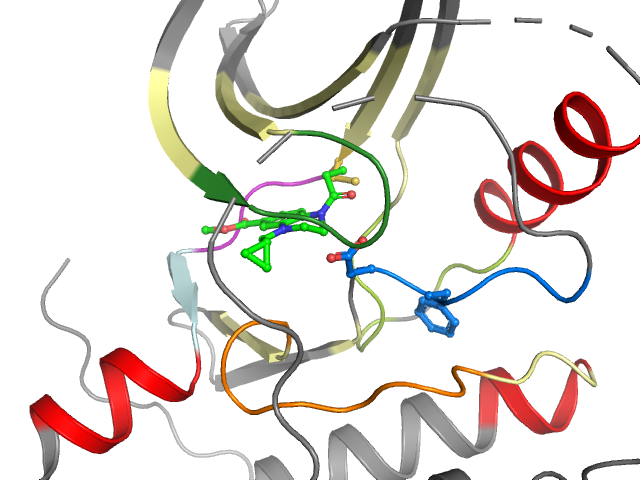 The orthosteric binding pocket