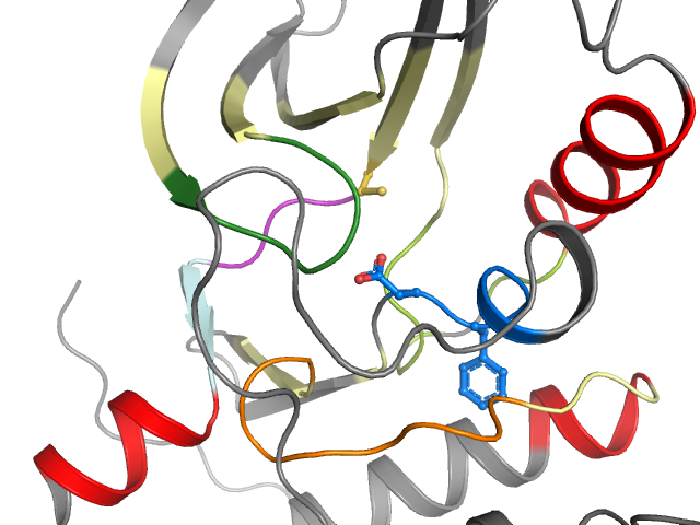 The orthosteric binding pocket