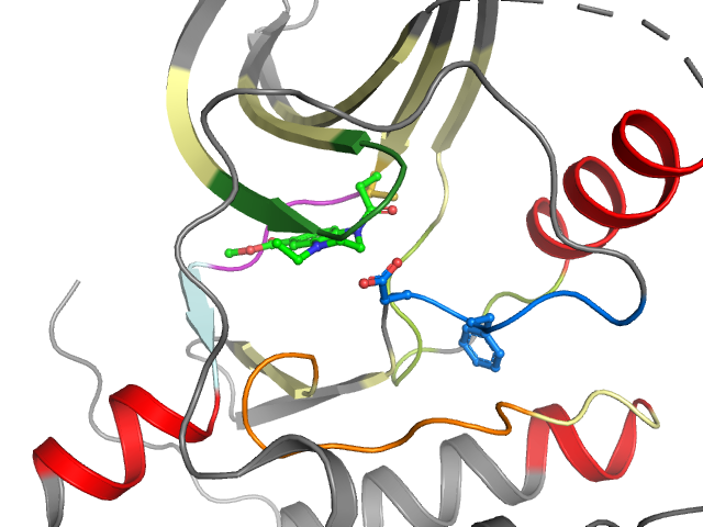 The orthosteric binding pocket