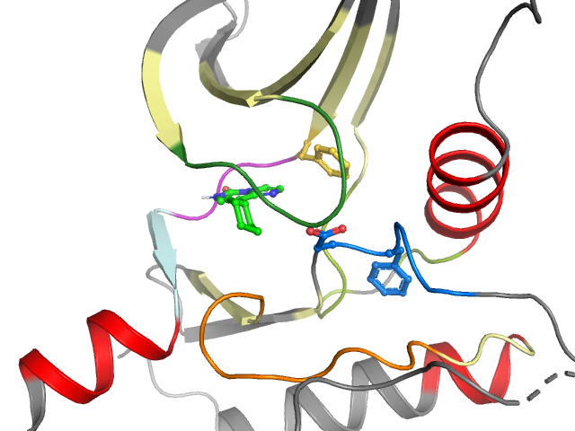 The orthosteric binding pocket