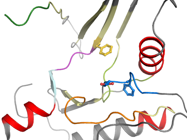 The orthosteric binding pocket
