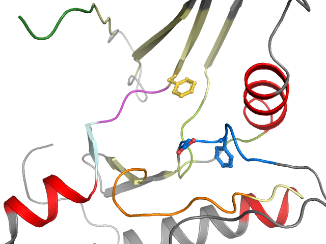 The orthosteric binding pocket
