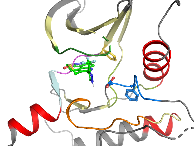 The orthosteric binding pocket