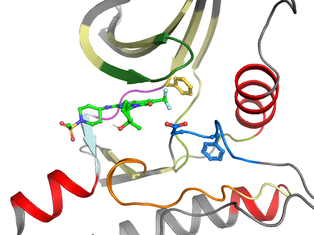 The orthosteric binding pocket