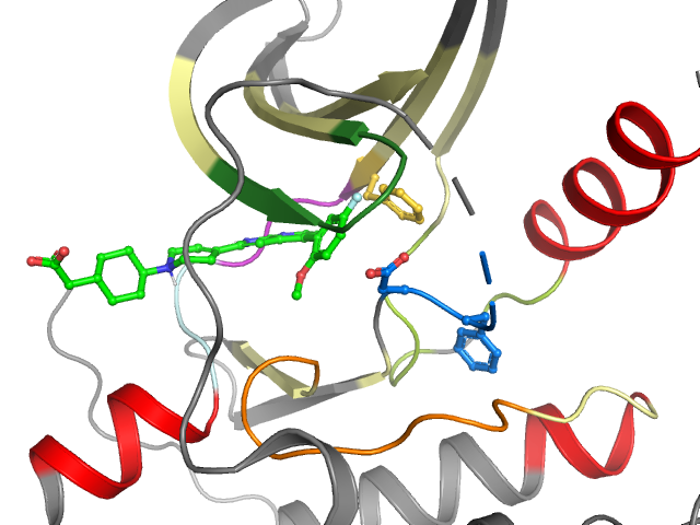 The orthosteric binding pocket