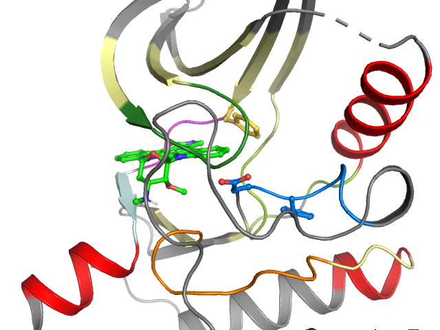 The orthosteric binding pocket