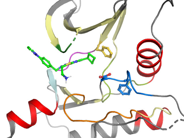 The orthosteric binding pocket