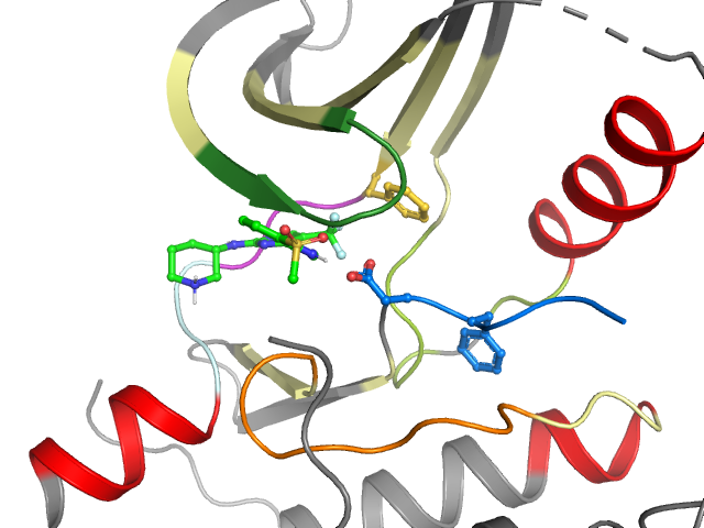 The orthosteric binding pocket