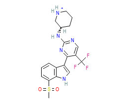 2D structure of the orthosteric ligand